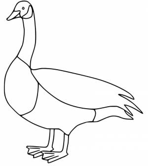 Раскраска Легкий Гусь 3
