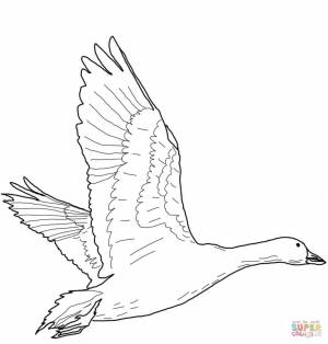 Dibujo de Ganso blanco volando para colorear