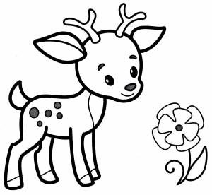Раскраска «Оленёнок и цветочек»