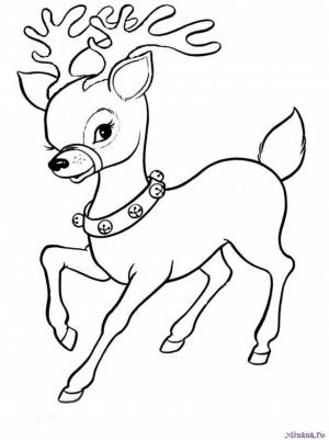 Раскраска олененок