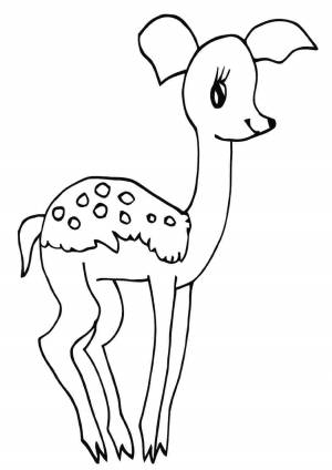 Раскраска олененок