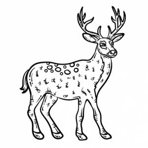 Раскраска олень животное для взрослых