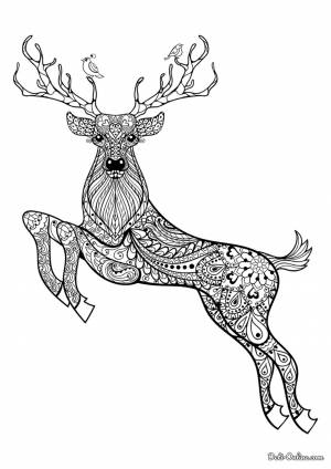 Раскраска Олень