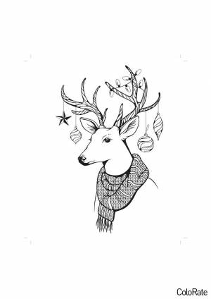 Раскраска Олень в шарфике