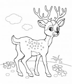 Пин от пользователя K