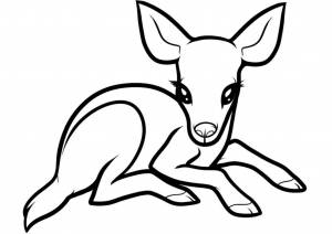 раскраски олень олененок олентха олень