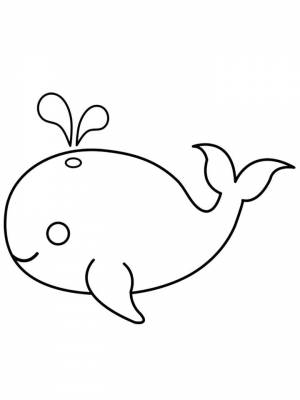 Раскраски Кит   в формате