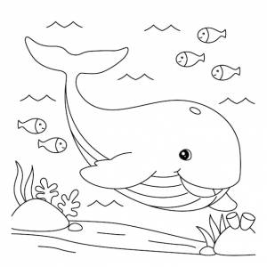 Раскраска кит для детей