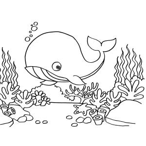 Обои-раскраски «Кит на морском дне»