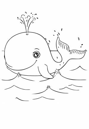 Раскраска Кит Милый