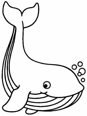 Раскраска большой кит