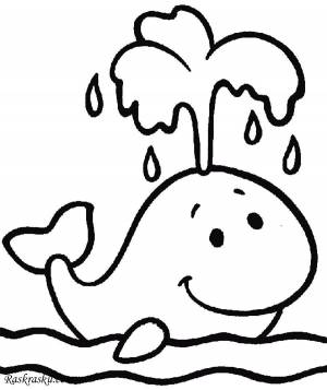 Раскраски Раскраска Кит морские животные