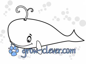 Раскраска кит, морские животные