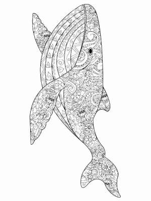 Раскраски Кит Антистресс