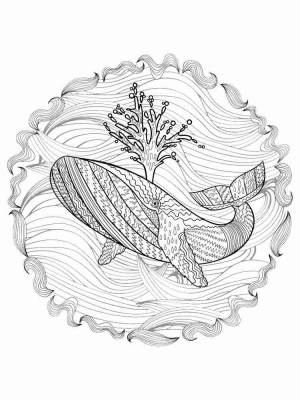 Раскраски Кит Антистресс