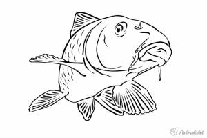 Раскраски подводный, Раскраска подводный мир кит дельфин море девочка купается кит пускает шарики подводный мир