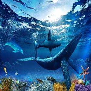 Пользовательский 3D напольный рисунок кит дельфин подводный мир ванная комната гостиная спальня фотобумага водонепроницаемая