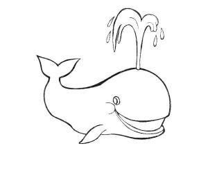 Раскраски кит, Раскраска Кит пускает фонтанчик кит