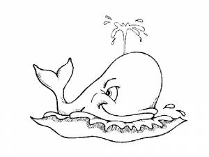 раскраски кит