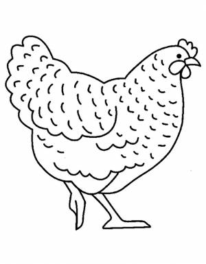 Раскраска Курица