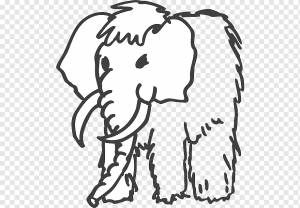 Mammuthus meridionalis Шерстистый мамонт Рисунок колумбийского мамонта, др