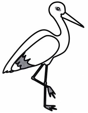 Раскраска Аист