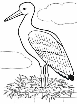Раскраска Аист в гнезде