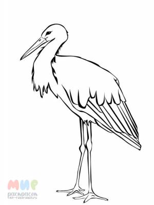 Раскраска Аист принесет нам радость