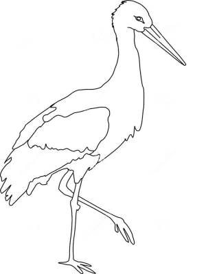 Раскраски Аист