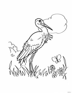 Аист картинка для детей раскраска