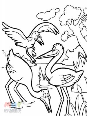 Раскраска Аист принесет нам радость