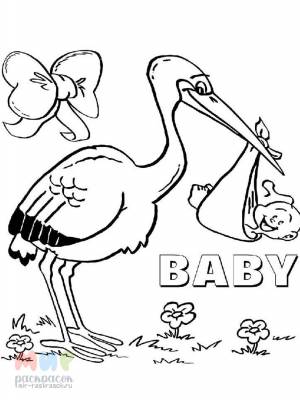 Раскраска Аист