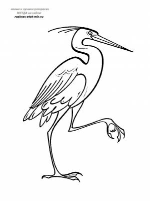 Красивые раскраски аиста
