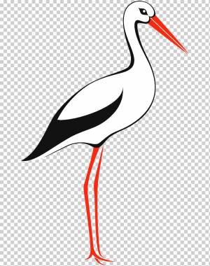 Белый аист я, птица, животные, без роялти, птица png
