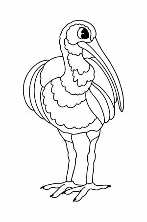 Раскраска Аист Ибис ♥ Онлайн и !