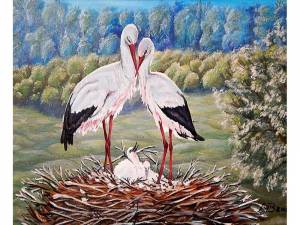 картина по номерам Цветной Аисты в гнезде, 40x50 см, цены на Мегамаркет