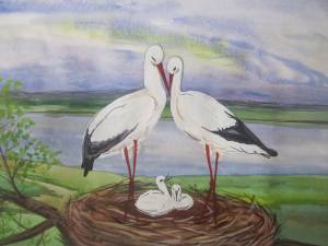Картинки семья аистов