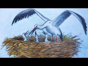 Рисуем гнездо аиста