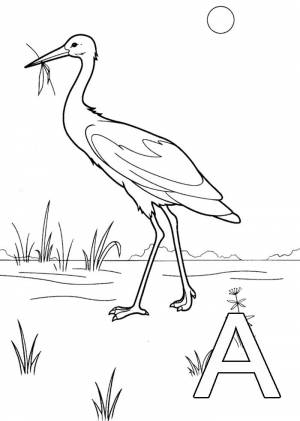 Раскраски аист