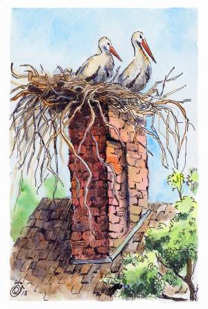 Аист на крыше рисунок для детей