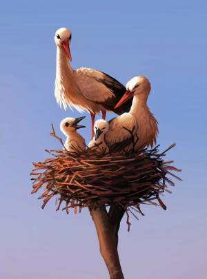 ГНЕЗДО АИСТА