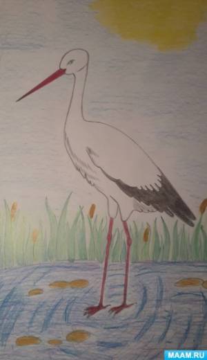 Мастер-класс по рисованию цветными карандашами «Аист»