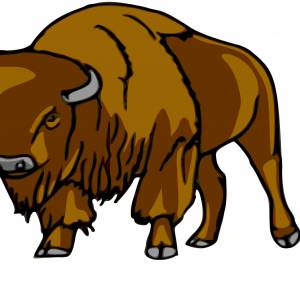 Зубр рисунок