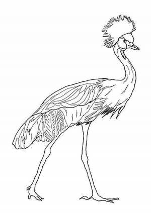 Журавль рисунок раскраска