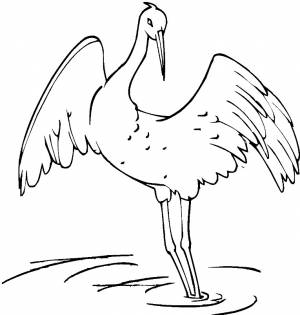 Раскраска журавль