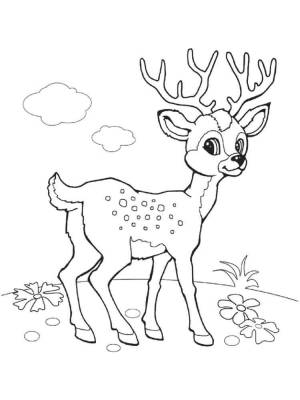 Раскраски Олень
