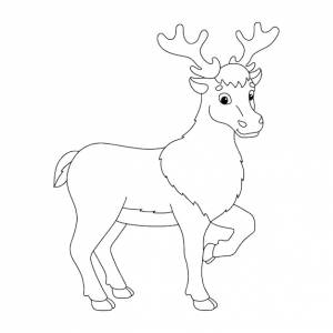 Животный олень