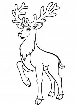 Раскраска Олень