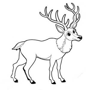 Раскраски Олень для детей