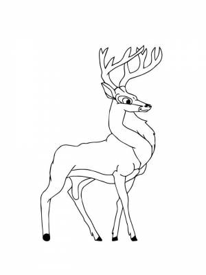 Раскраски Олень   в формате